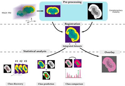 MALDI-MSI Towards Multimodal Imaging: Challenges and Perspectives